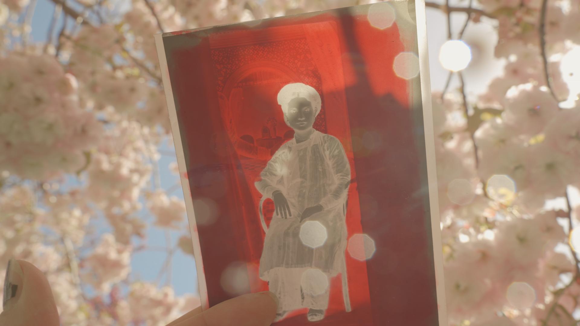 Main tenant un ancien négatif photo rouge devant des fleurs roses en arrière-plan